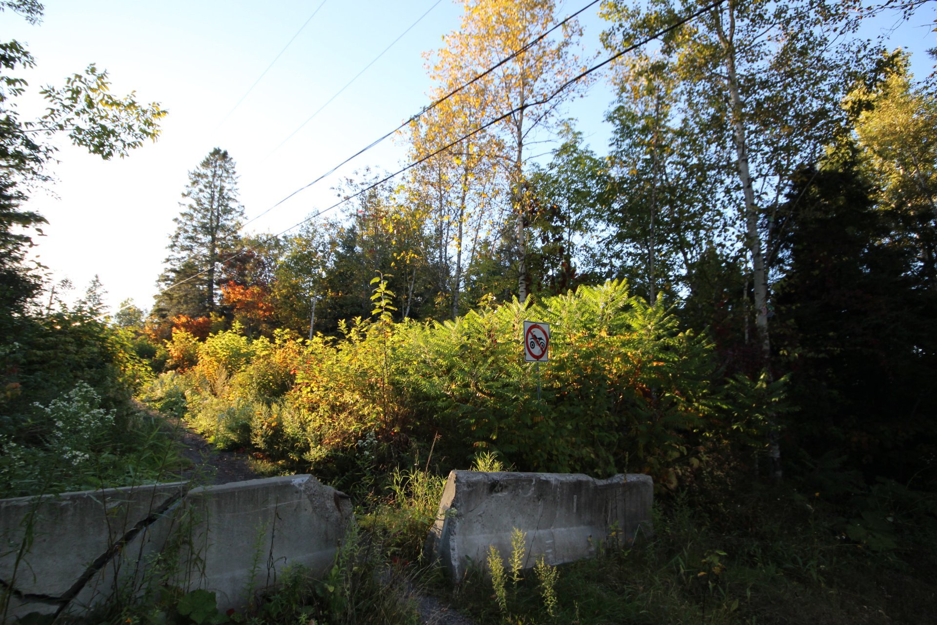 Rue Ste-Monique — photo 1