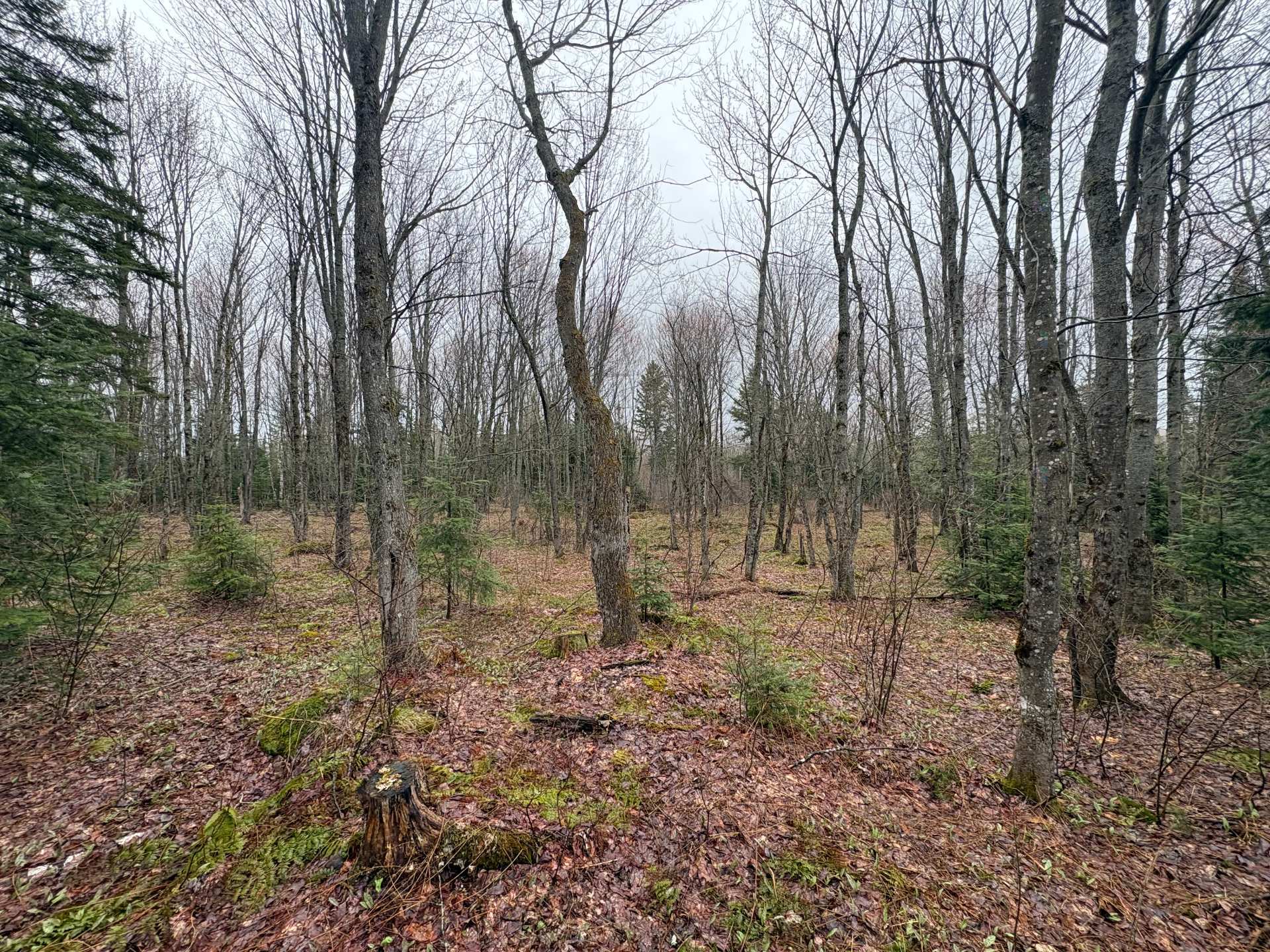 Ch. de la Yard — photo 1