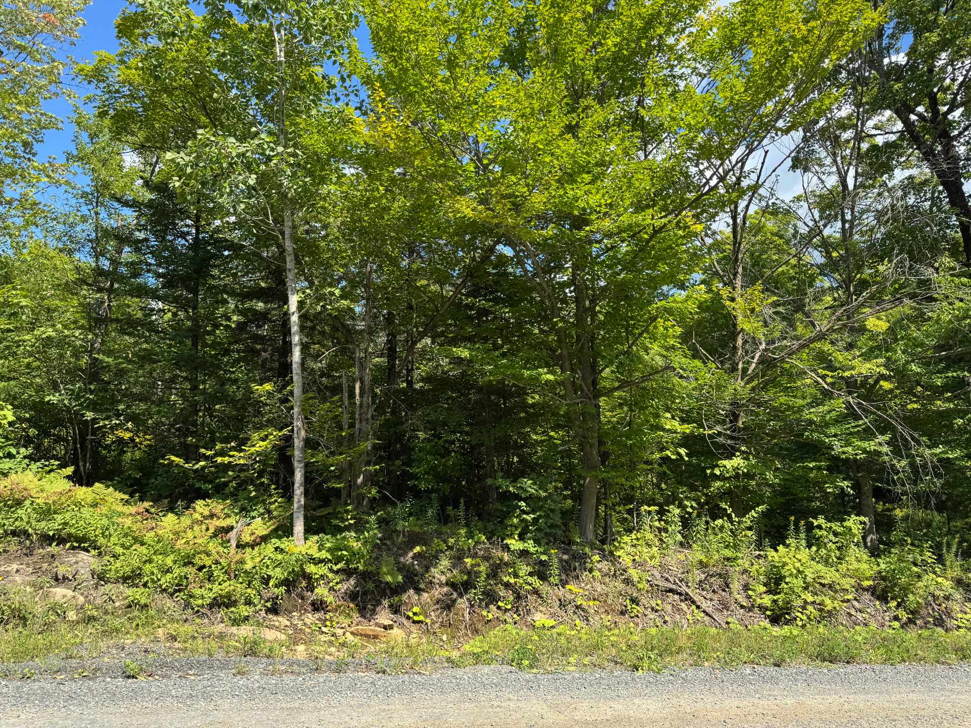 Mtée des Laurentides — photo 2