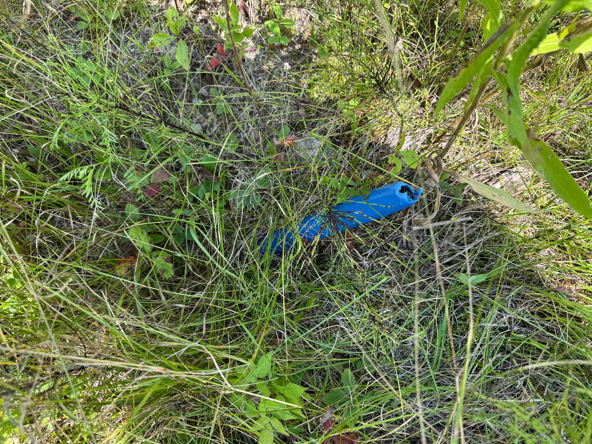 Mtée des Laurentides — photo 3