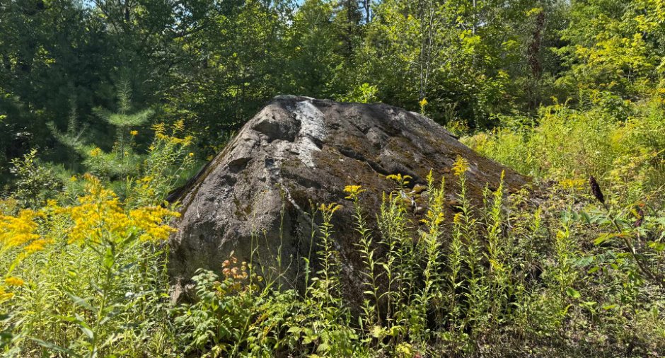 Vue