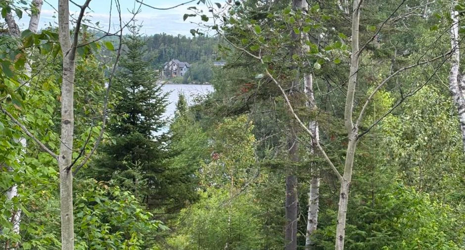 Vue sur l'eau