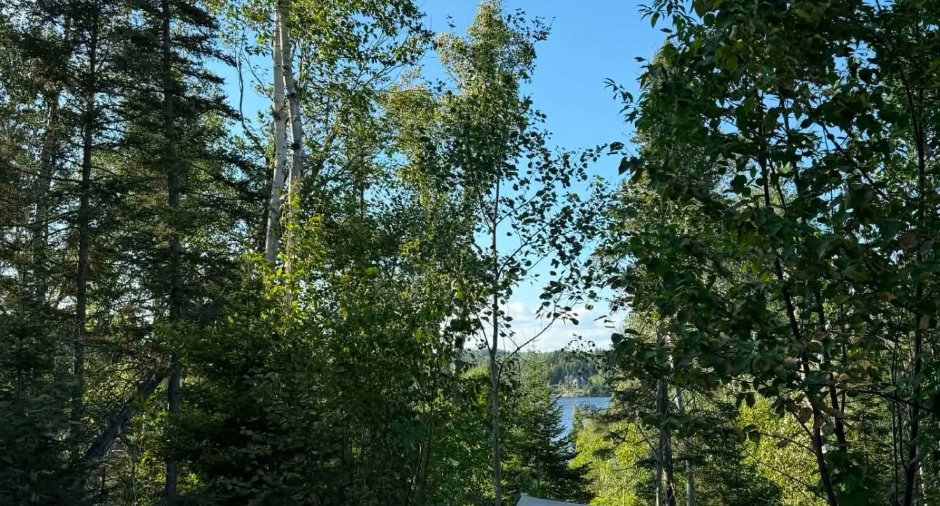 Vue