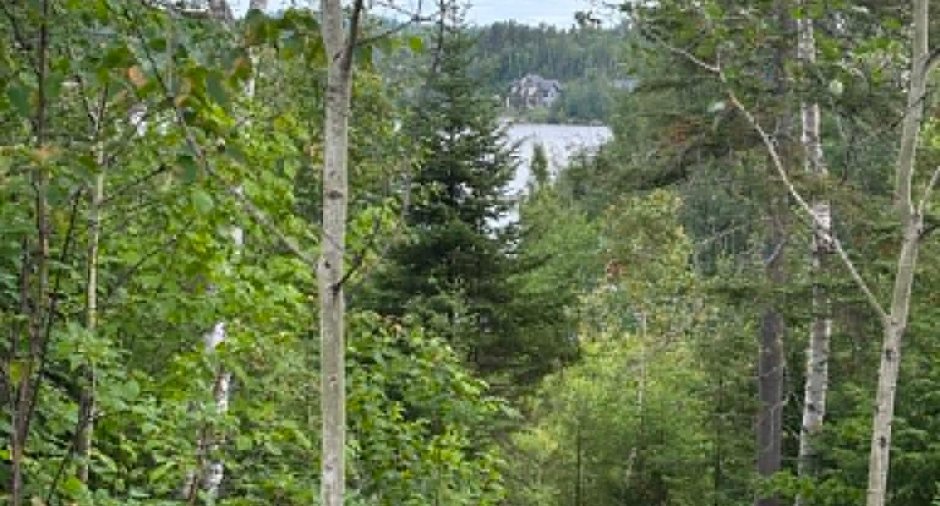 Vue sur l'eau