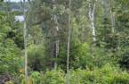 Terre/Terrain