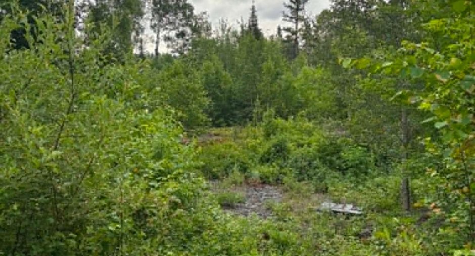 Terre/Terrain