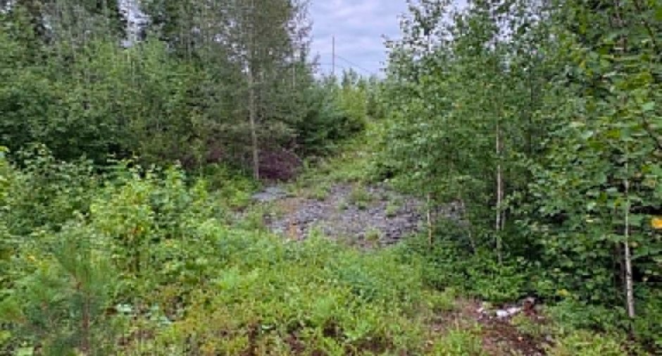 Terre/Terrain