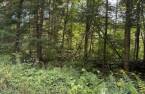 Terre/Terrain