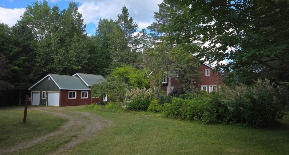 Overall View