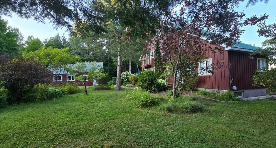 Overall View