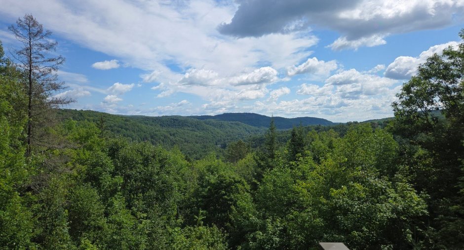 View