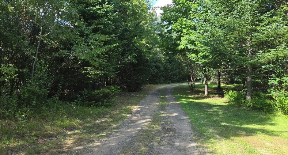 Overall View