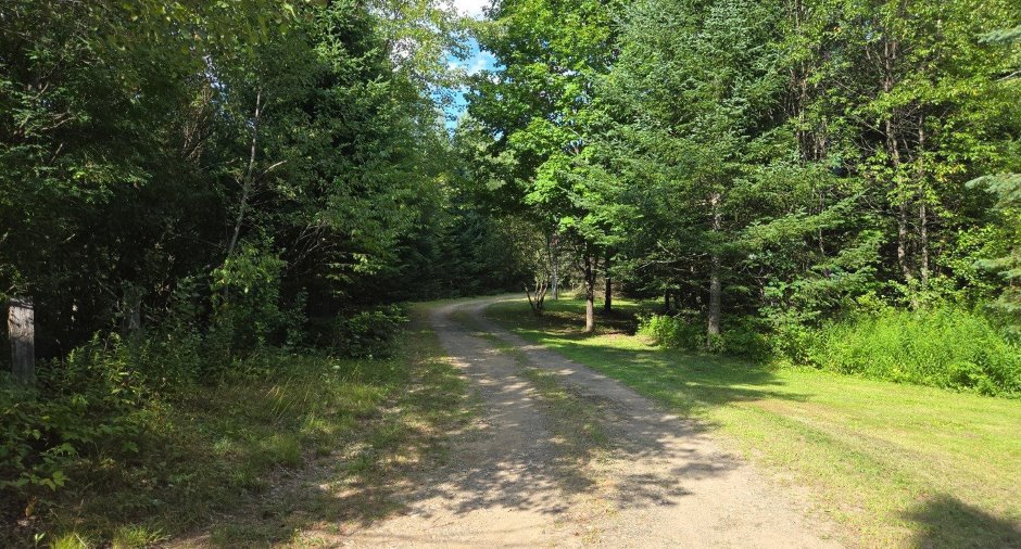 Overall View