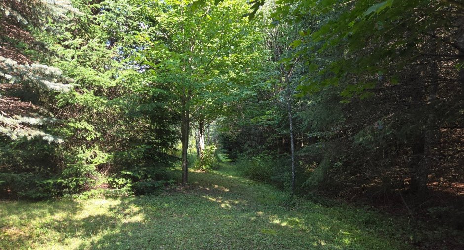 Land/Lot