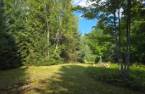 Land/Lot