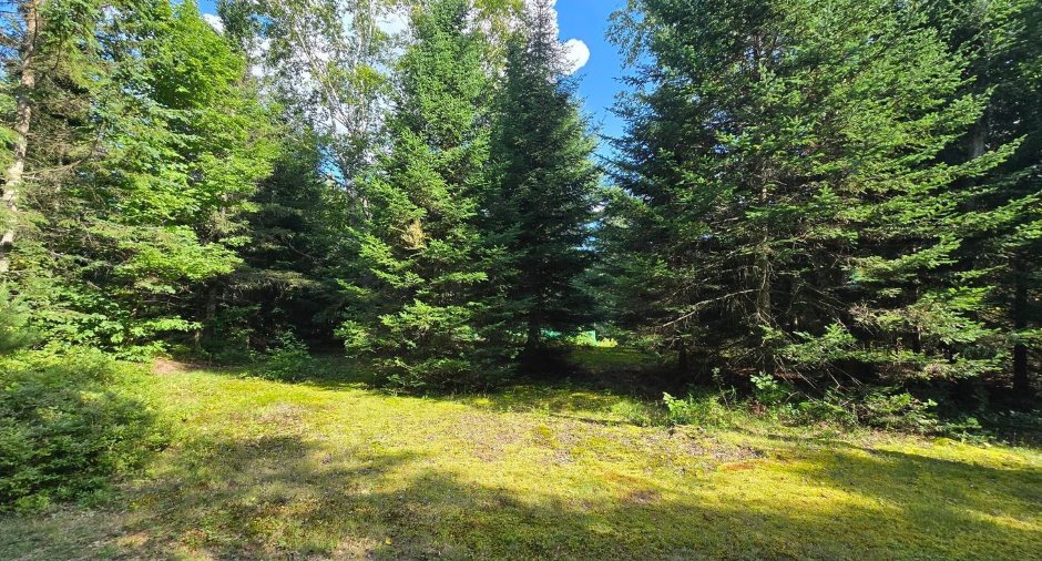 Land/Lot