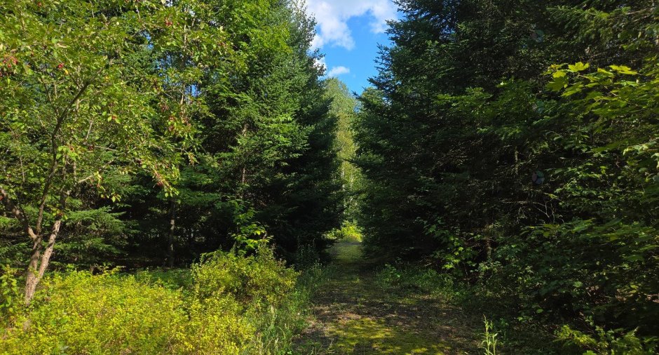 Land/Lot