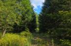 Land/Lot