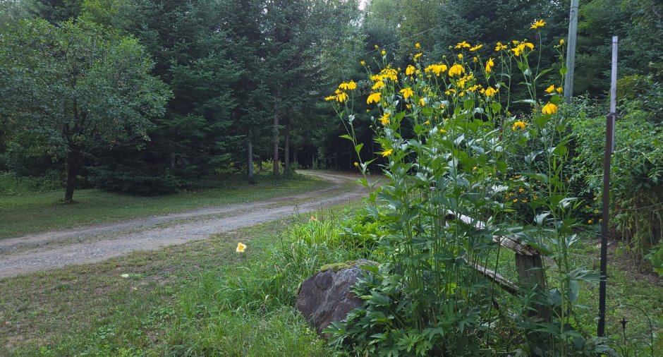 Overall View