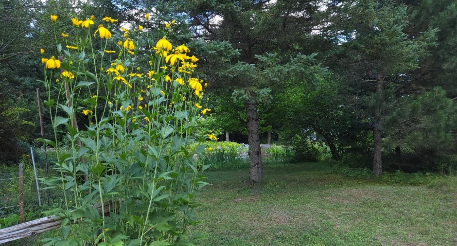 Land/Lot