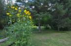 Land/Lot