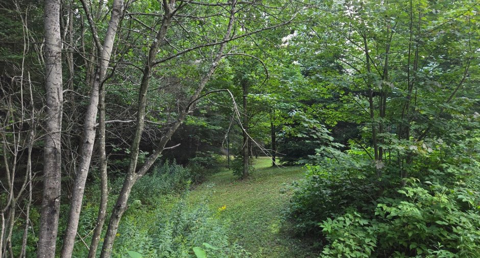 Land/Lot