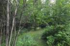 Land/Lot