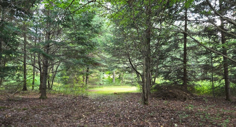 Land/Lot