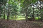 Land/Lot