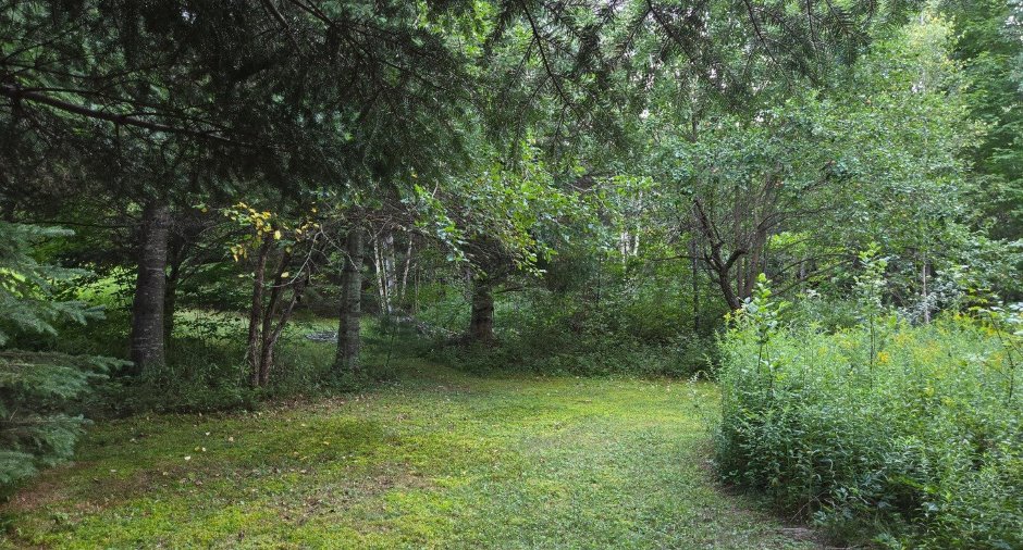 Land/Lot