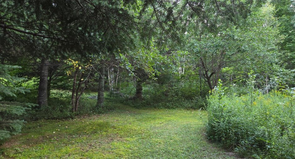 Terre/Terrain