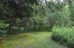 Terre/Terrain