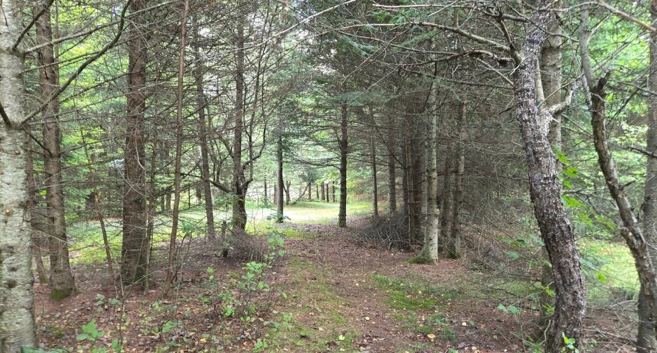 Land/Lot