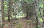 Land/Lot