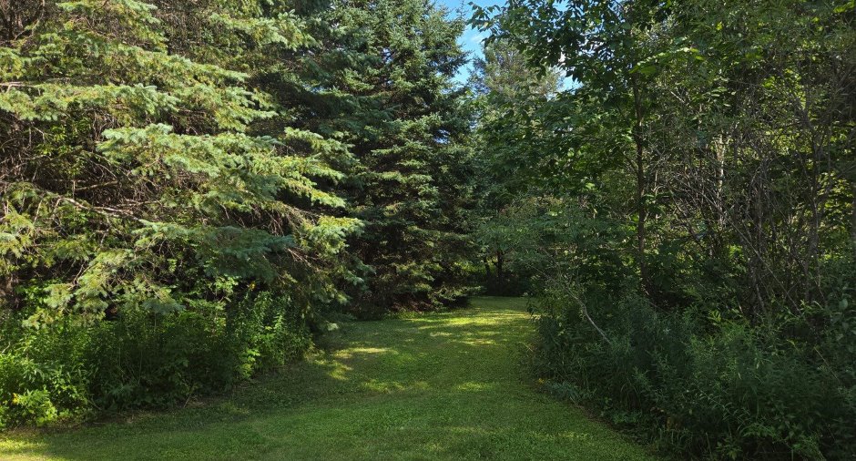 Land/Lot
