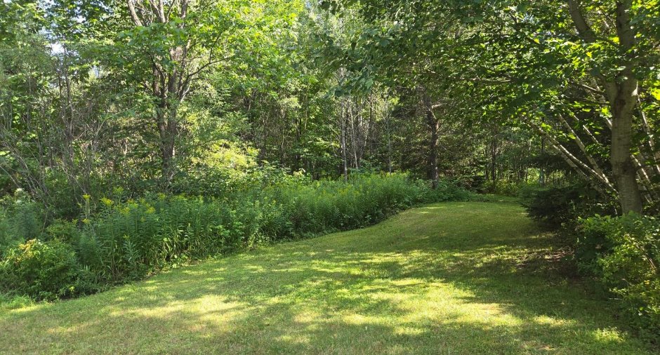 Land/Lot