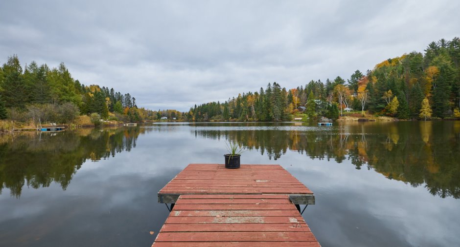 Bord de l'eau