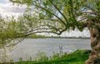 Bord de l'eau