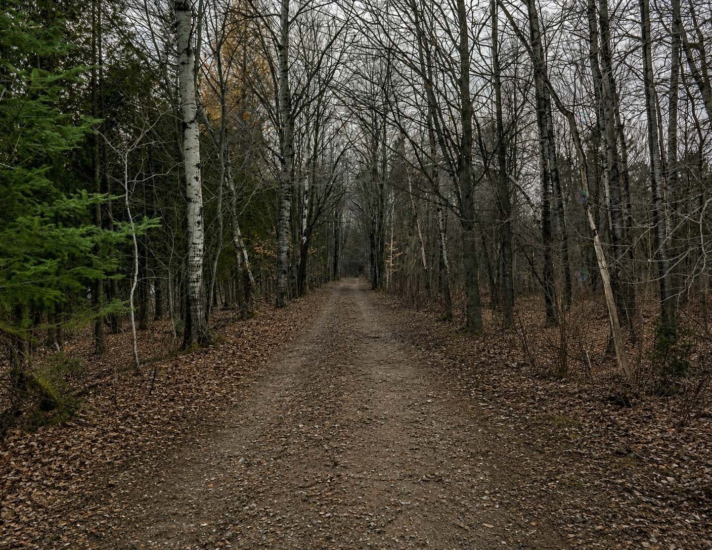 1er Rang N. — photo 1