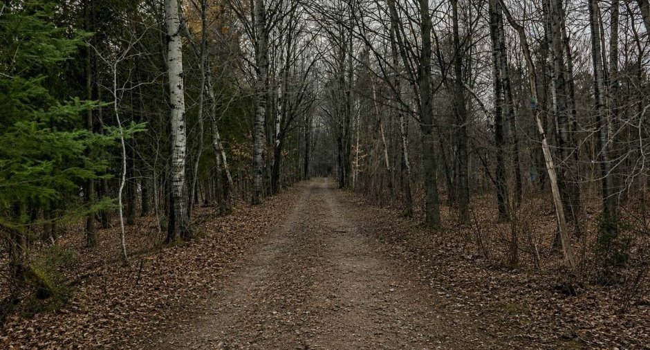 Terre/Terrain