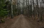 Land/Lot