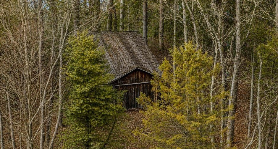 Terre/Terrain