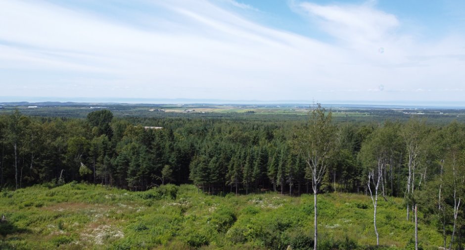 Vue