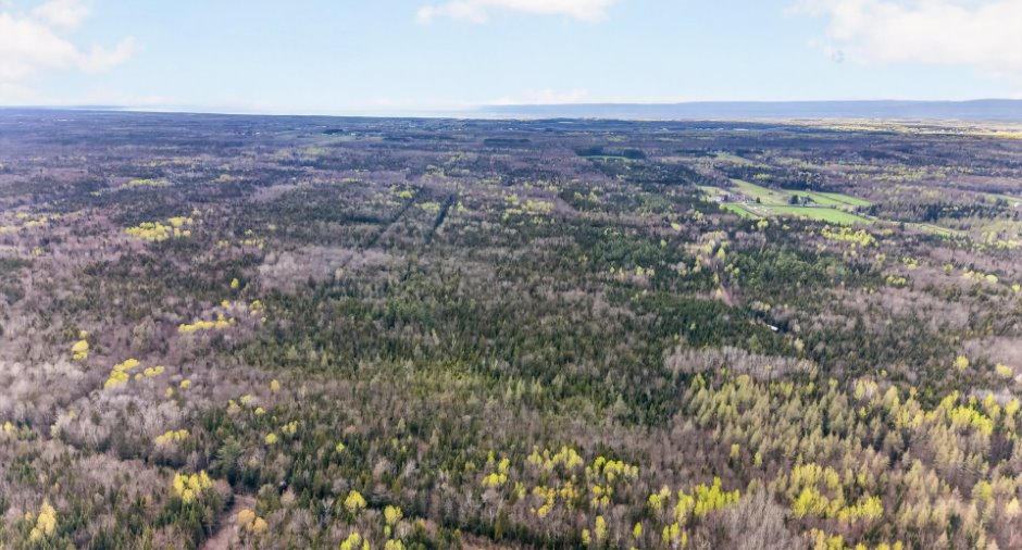 Vue d'ensemble