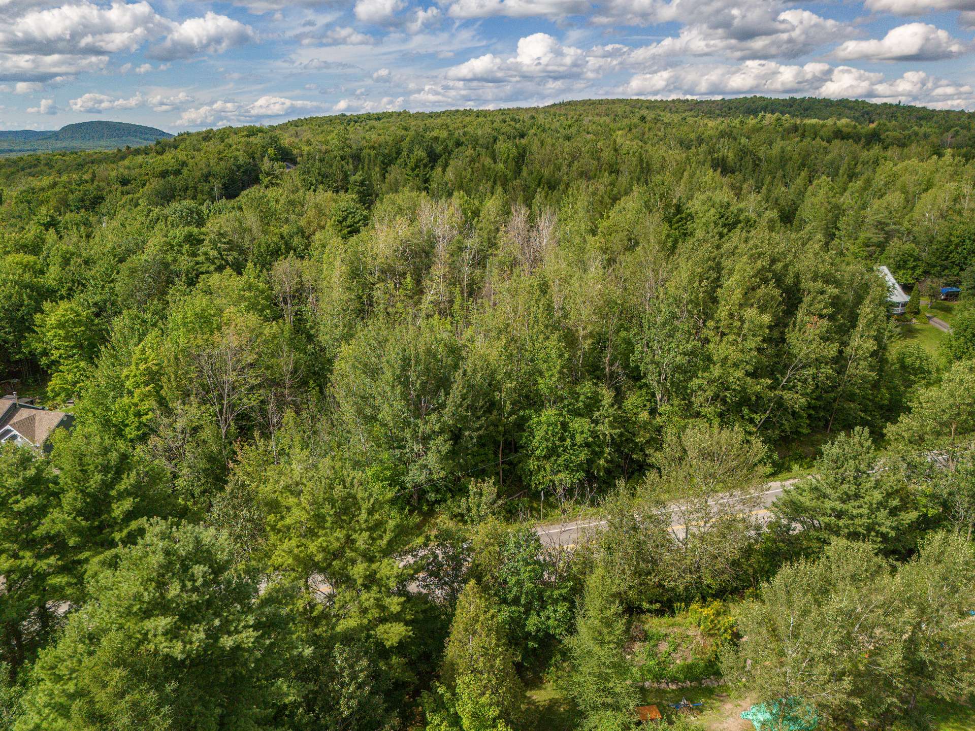 Land/Lot