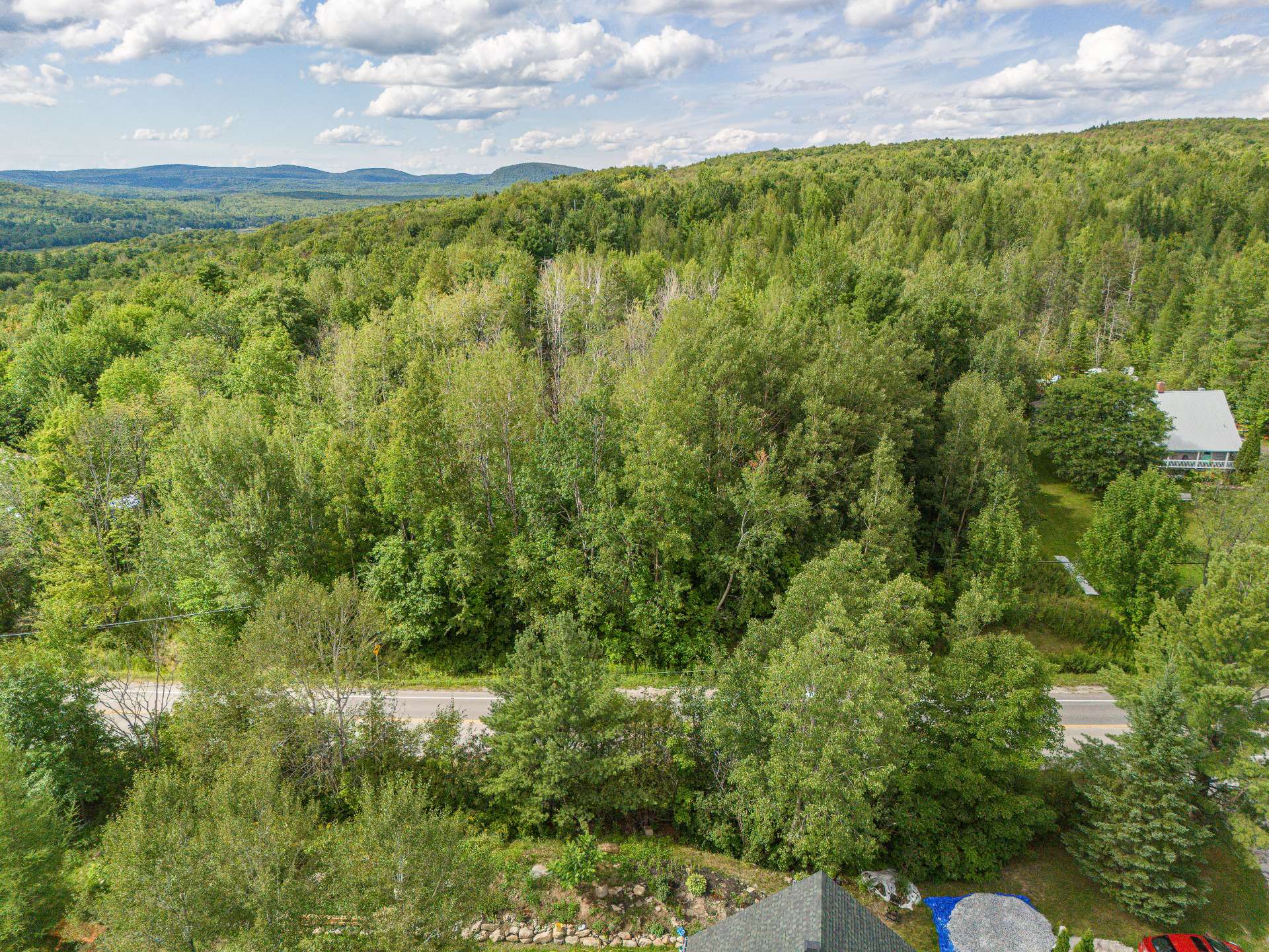 Land/Lot