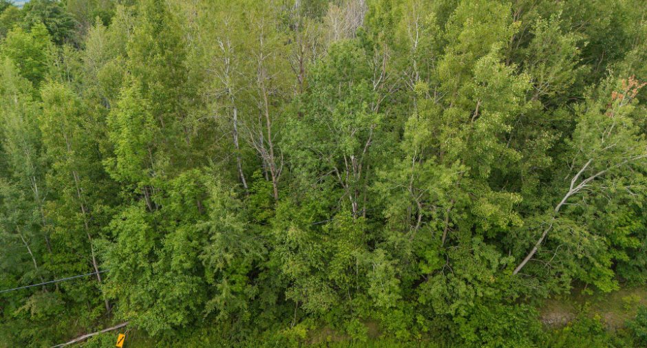 Terre/Terrain