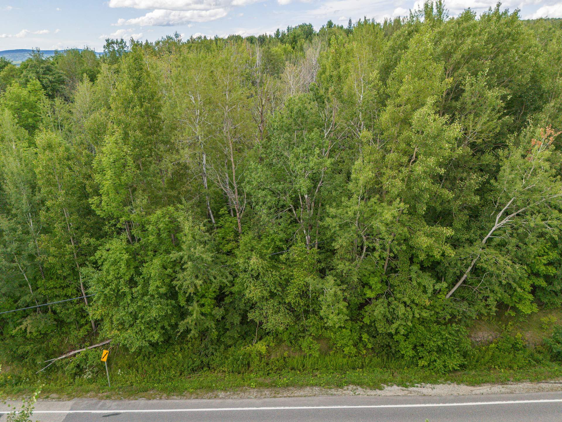 Land/Lot
