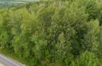 Terre/Terrain