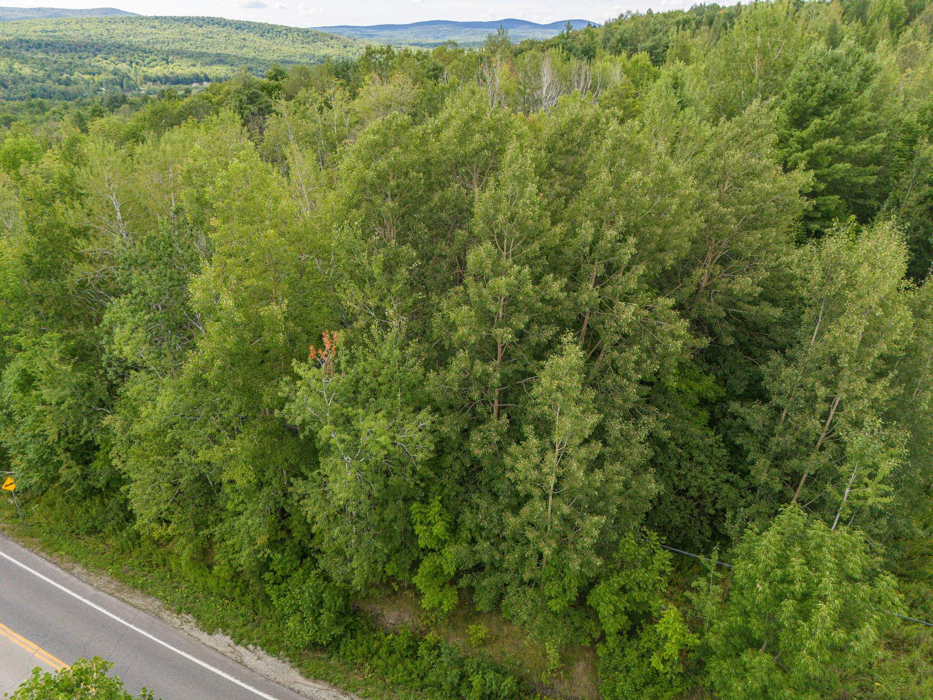 Land/Lot